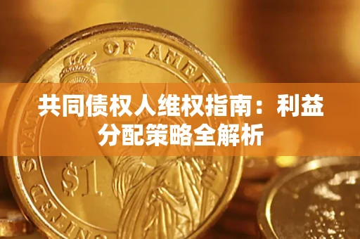 武汉共同债权人维权指南：利益分配策略全解析
