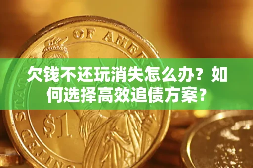 武汉欠钱不还玩消失怎么办？如何选择高效追债方案？